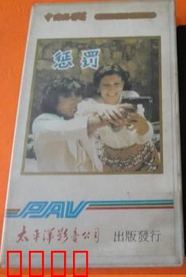 惩罚1980：正义迟来