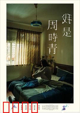 我是周时青：记忆的终章