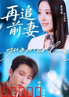 再追前妻：破镜重圆记